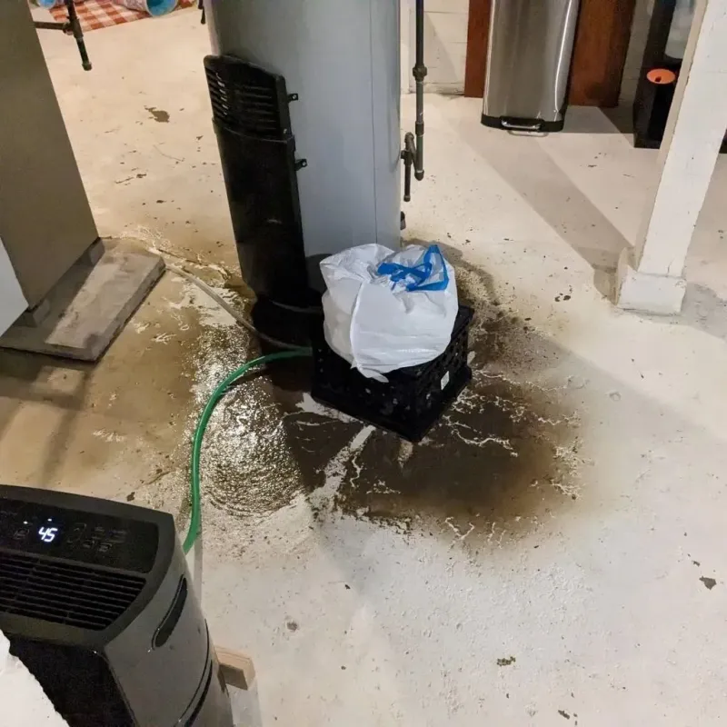 Sewage Backup Cleanup Service in Riverton, NJ